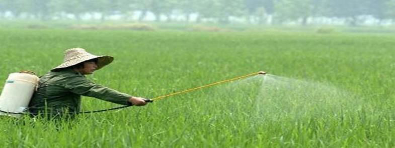 使用農藥時泡沫太多是怎么回事，農藥消泡劑能有用嗎？