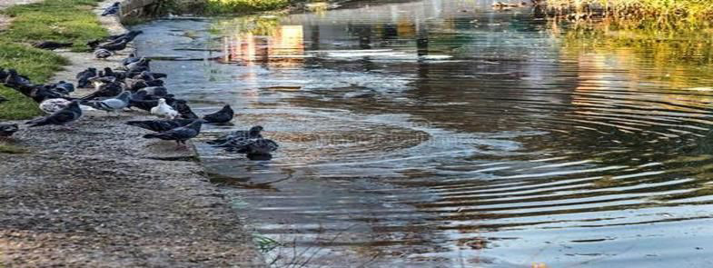 江門消泡劑——廣東江門市萬先生油性消泡劑使用和應用案例