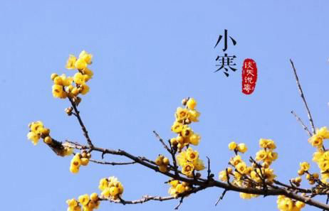 小寒時處二三九