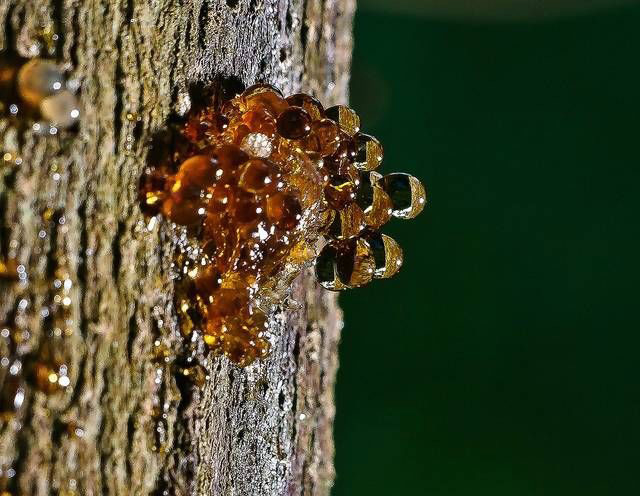 樹脂中有氣泡怎么處理，樹脂消泡劑可以用嗎？