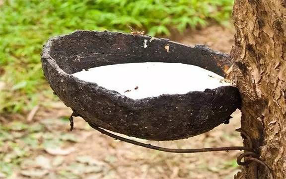 天然乳膠泡沫多是什么原因，有什么危害？