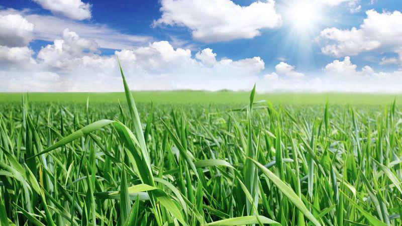 葉面肥起泡怎么處理，用什么消泡劑能解決泡沫？