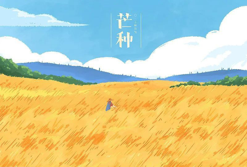 芒種看今日，蟬鳴夏始忙