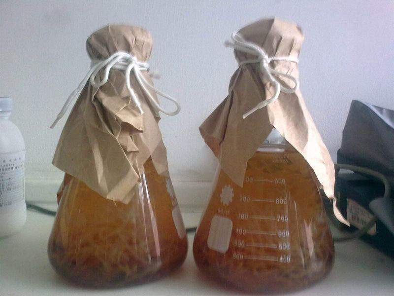 發(fā)酵液泡沫多有問題，發(fā)酵液消泡劑可以解決泡沫？