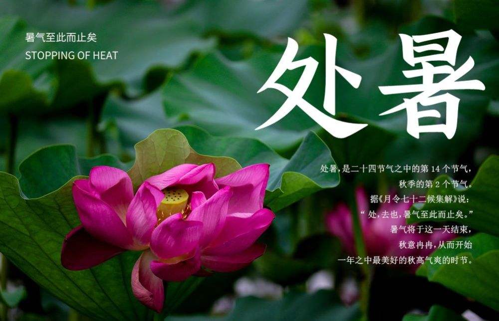 處暑至，新秋時