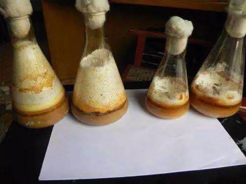 北京消泡劑-北京米小姐有機發酵廢液消泡劑使用和應用案例