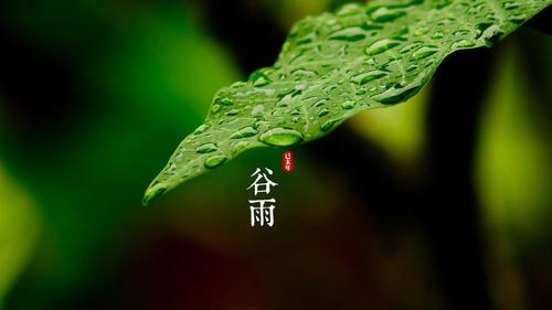 明朝知谷雨，無(wú)策禁花風(fēng)