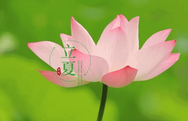 日斜湯沐罷，熟練試單衣