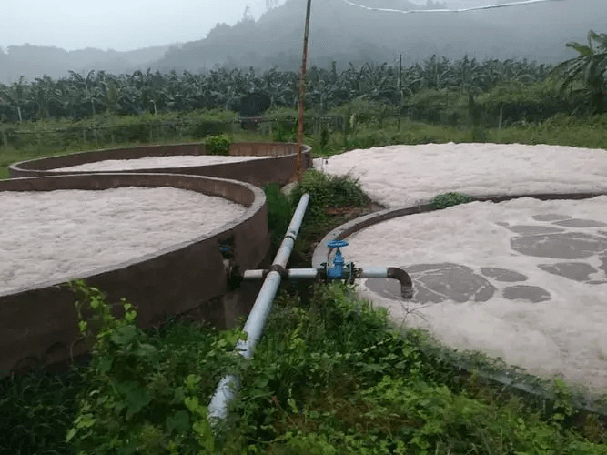 好氧池消泡劑應(yīng)用場(chǎng)景圖